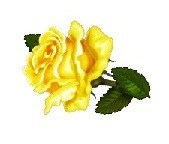 Obituary of Boyd Warner Jr.