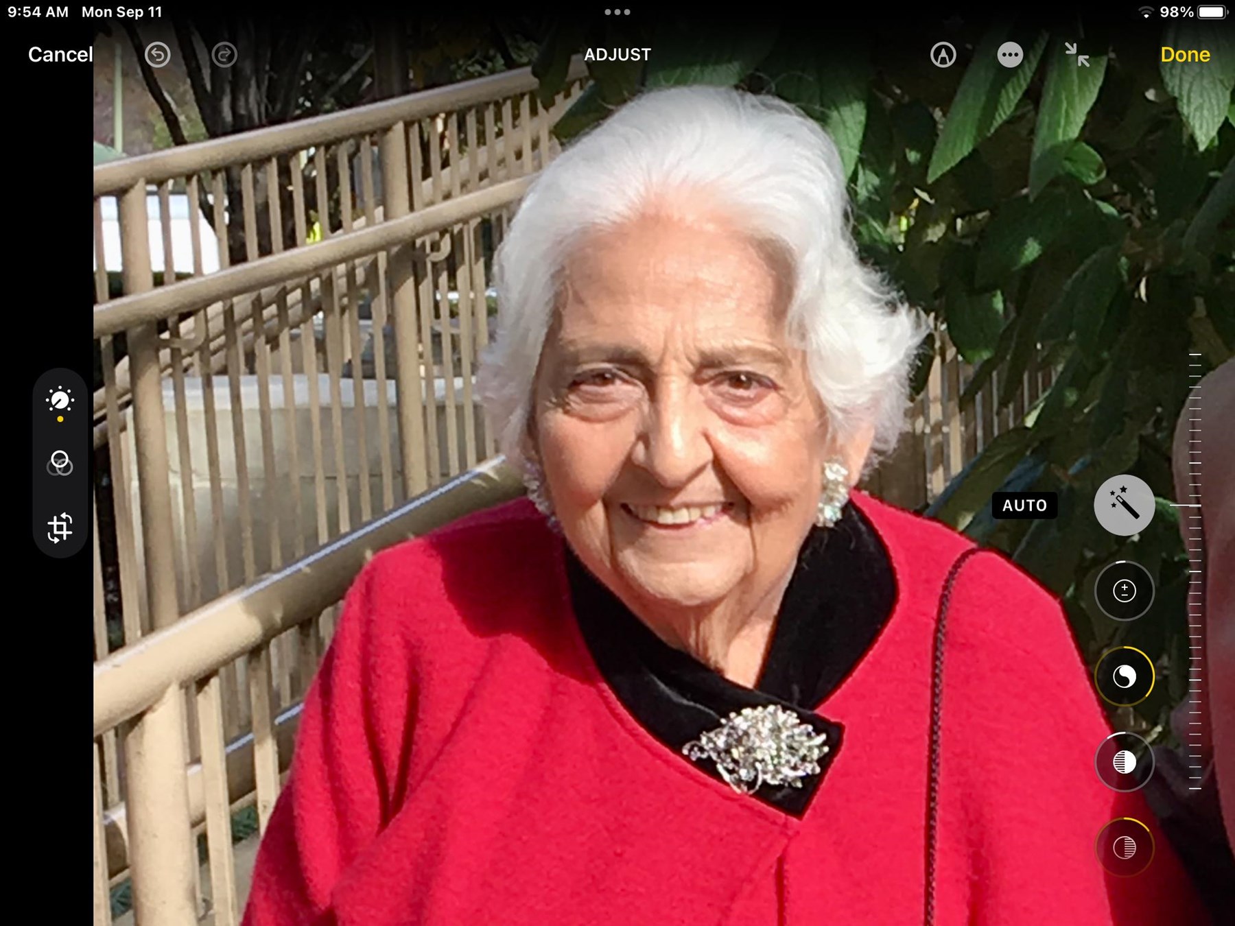 Obituary of Victoria Teresa Morisi