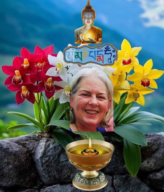 Obituary of Cynthia Sue Sarver Churchward