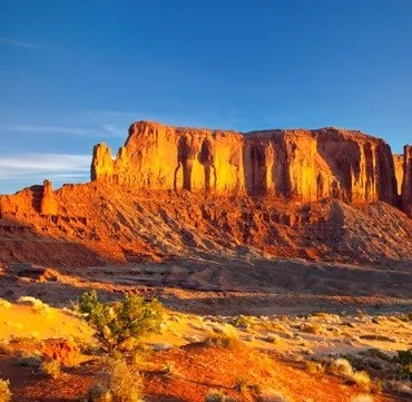 Obituary of John Anthony Solario