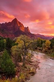 Obituario de Patricia Lou Gertley