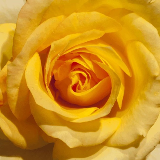 Obituary of Catalina Blanco