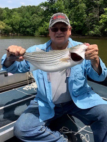 Obituary of Anthony "Tony" Schmitt