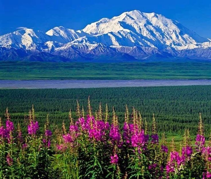 Obituary of Joseph Jay Matthews