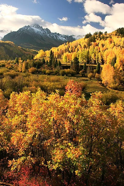 Avis de décès de Margot Kristen Johnson