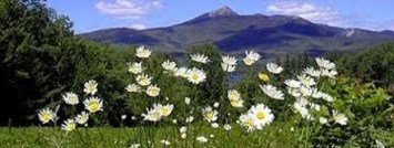 Obituary of Evelyn Violet Hansen