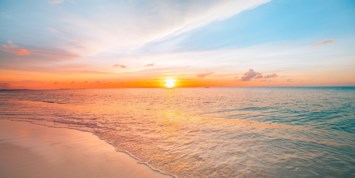 Obituary of Lois Milone