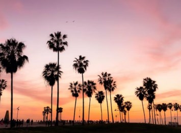 Avis de décès de Charles Myron Chase Jr.