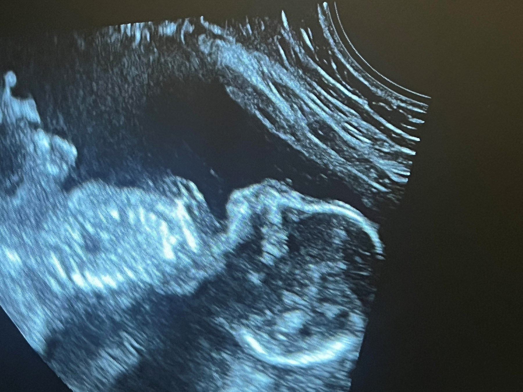 Obituary of Avery Faith Guerra