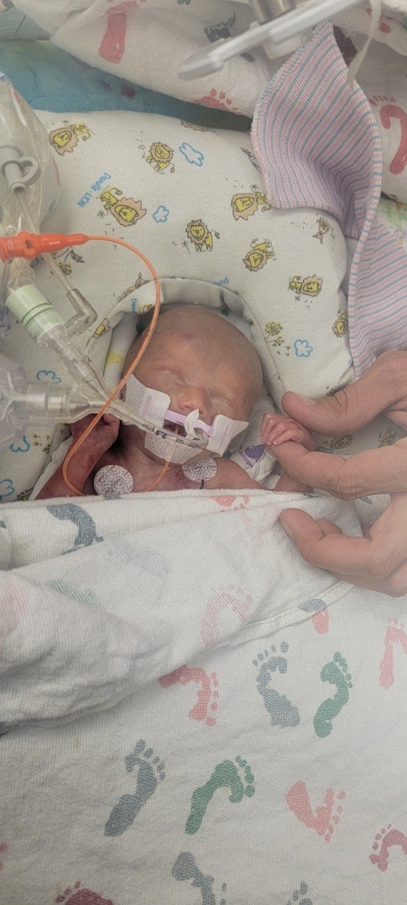 Obituary of Finley John Holtgrefe