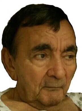 Obituary of Roberto Roman