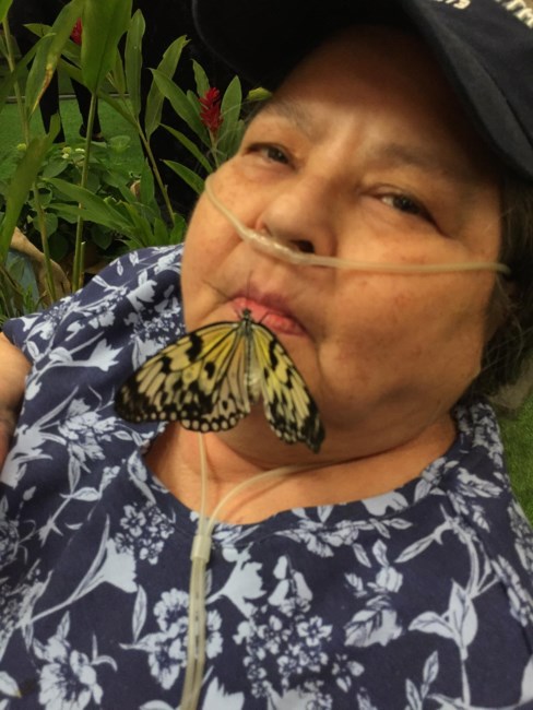 Obituary of Carol Ann (Weber) Baxter