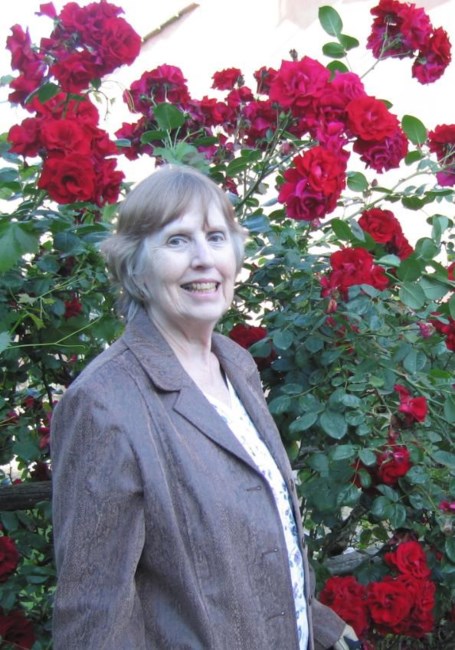 Obituary of Diane Steffer