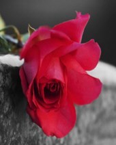 Obituary of Margie Simpson Rogers