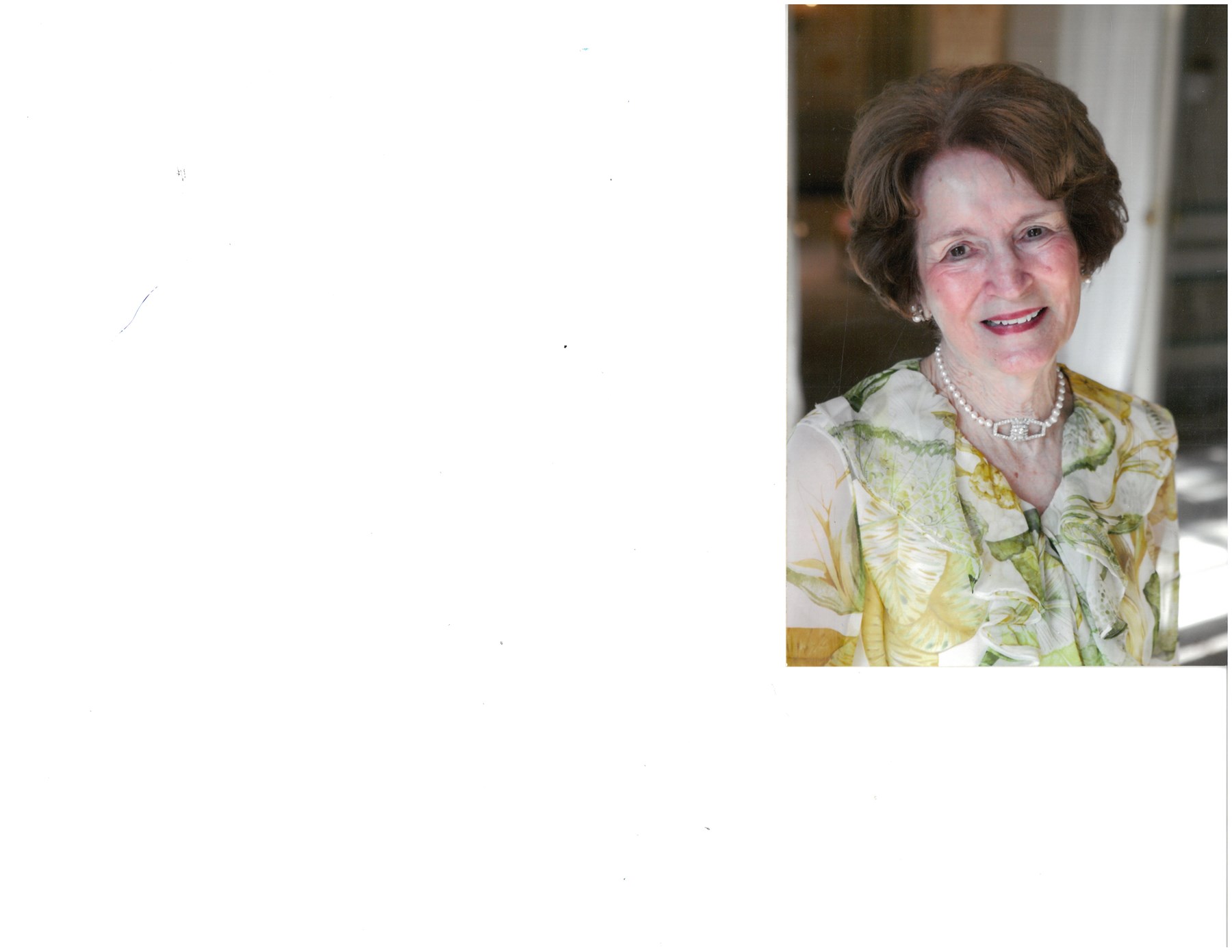 Obituary of Anne Schmidt Young