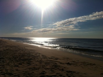 Avis de décès de Timothy F Bruce