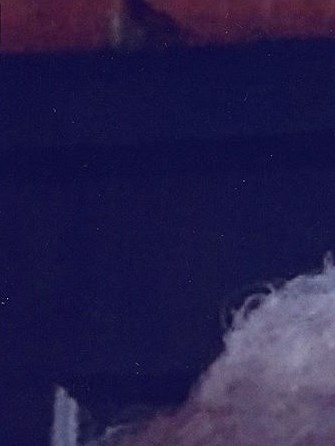 Rose Mary Fassler Obituary - St. Louis, MO