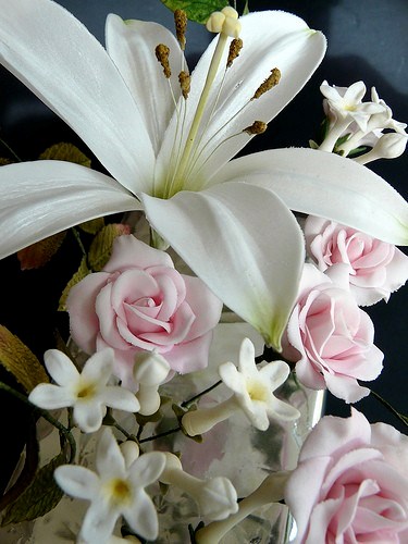 Obituary of Audrey F. Johnson