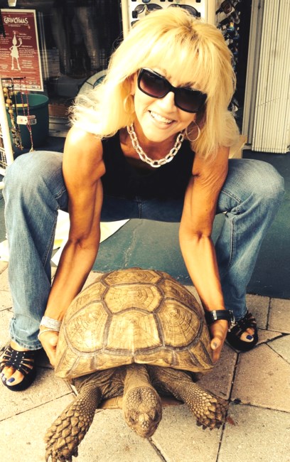 Obituary of Cathy A. Lape