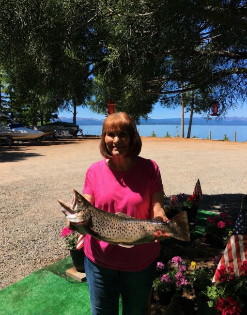 Obituary of Sharon Anne (Kauk) Watkins