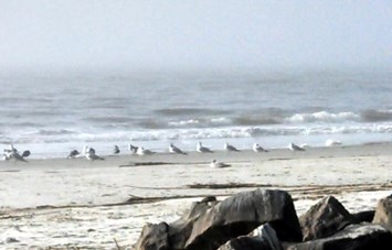 Obituary of Arthur "Chip" Cloud Oliver Jr.