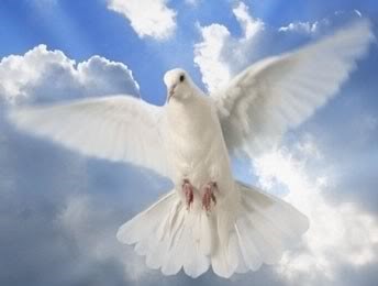 Obituary of Alfonso Jimenez