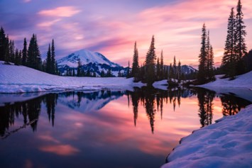 Obituary of Steven Robert Williams