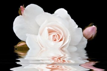 Avis de décès de Angela Valenzuela Ortiz