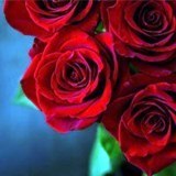 Obituary of Phyllis D Rice