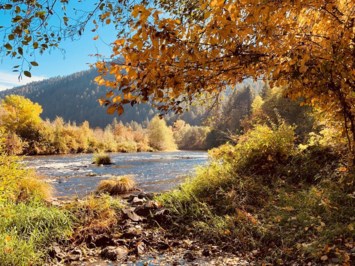 Obituary of Billy Holliday Jr.