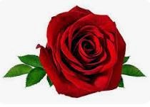 Obituary of Kathryn Ann Eiler