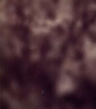 Jewell Purkey avis de décès - Knoxville, TN