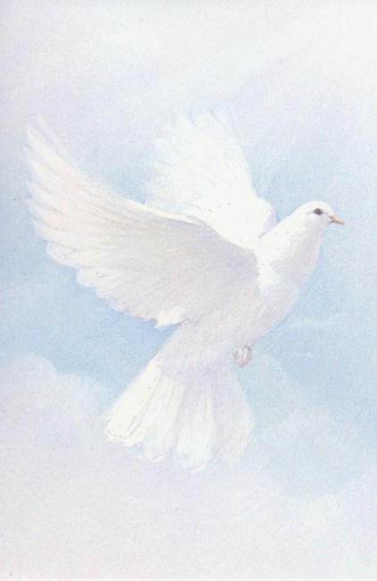 Obituary of Myoung Jin Song