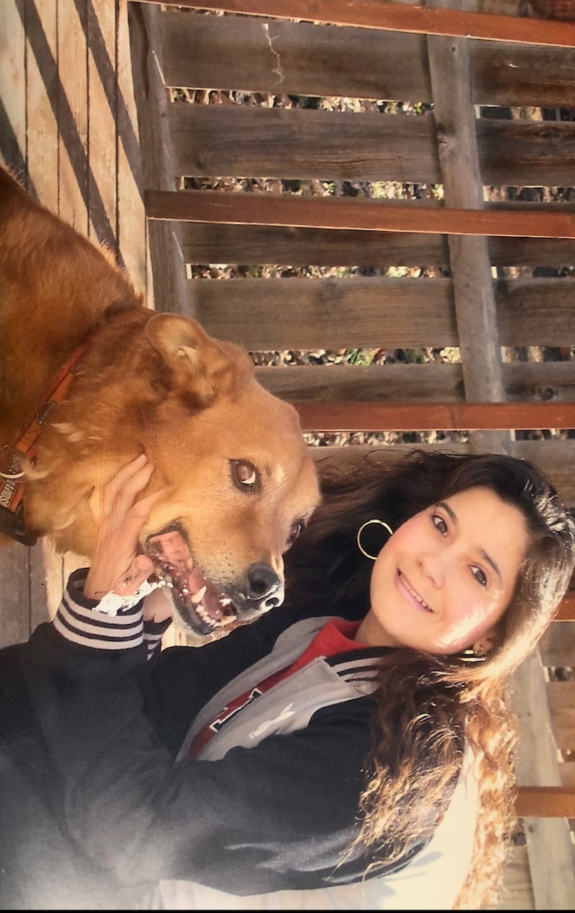 Obituary of Carol Lee Rogers