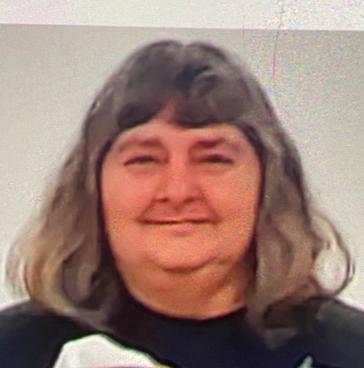 Obituary of Theresa "Terri" L Holmes