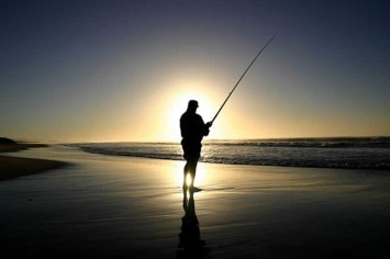 Obituary of Donald Ray Shepherd