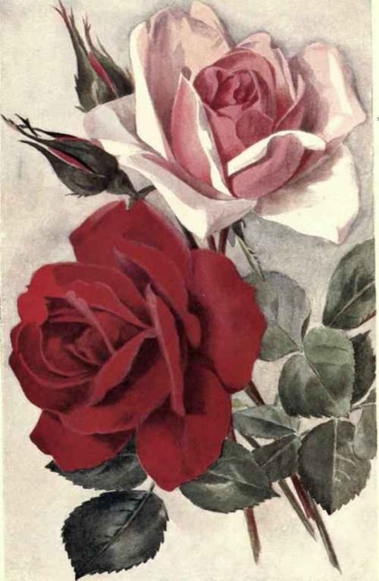 Obituary of Marietta Jackson