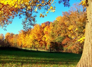 Obituary of James Deane Warthman Jr.