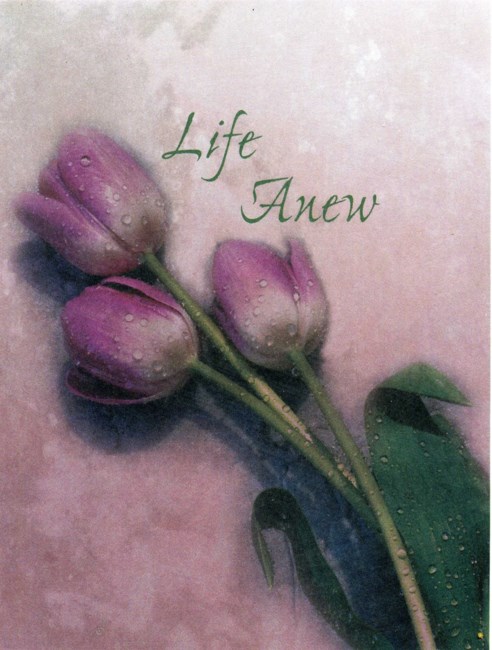 Obituary of Sylvia Rose Castaneda