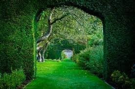 Obituary of Troy Thomas Halverson