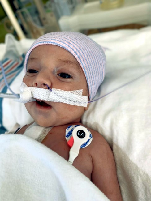 Obituary of Jax Alexander Rodriguez