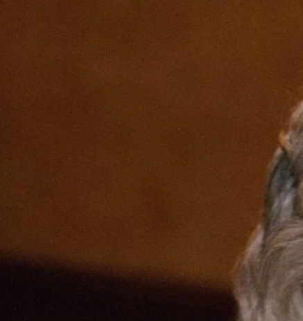 Doris Allen Obituary