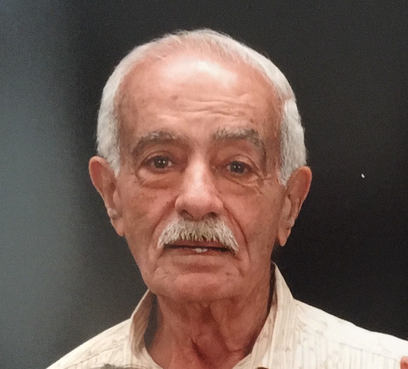 Obituary of Adel Saleem Bateh