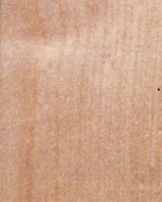 Ogden Obituaries Standard Examiner Today