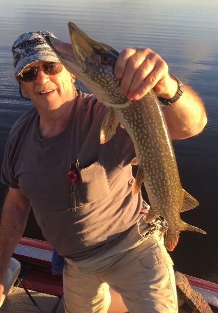 Obituary of Donald Irving Mount Jr.