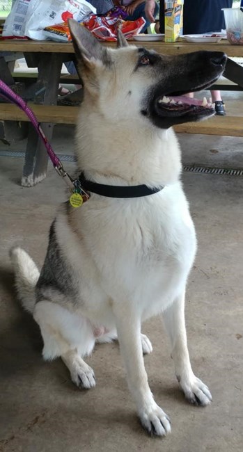 Obituary of James "Jimbo" Nelson Boyd