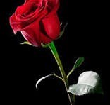 Obituary of Julia Ann Pratt