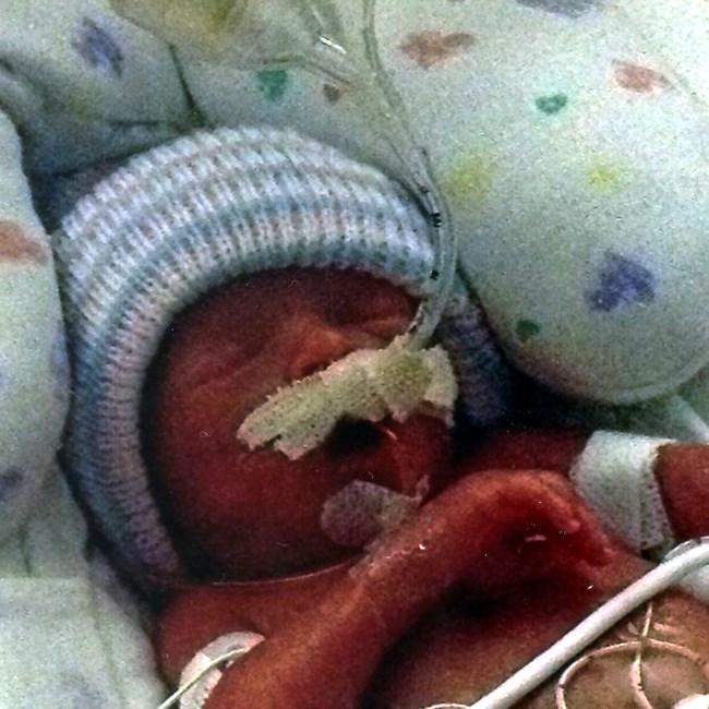 Obituary of Hailey Lauren Miller