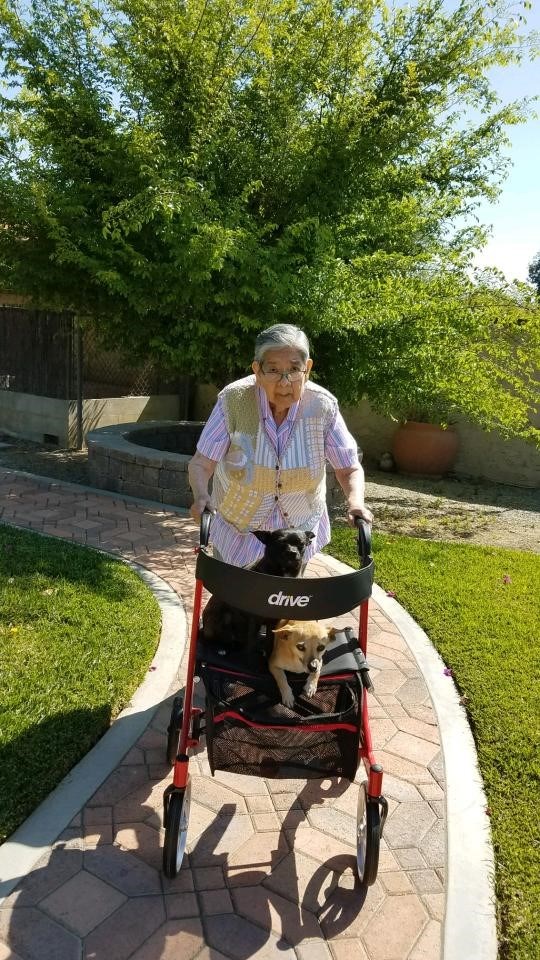 Obituary of Rosa Garcia Juarez