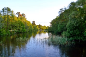 Obituary of Brian Adair Scott